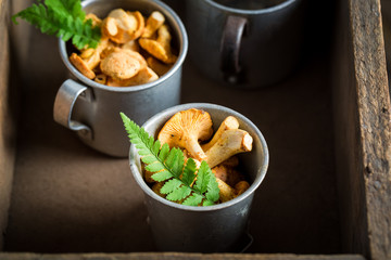 Wild mushrooms with green fern from forest