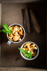 Edible mushrooms straight from the forest in summer