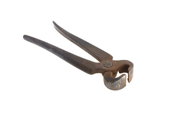 forceps on white background