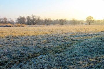 Autumn landscape with trees and wide meadow covered by the first rime