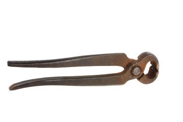 forceps on white background