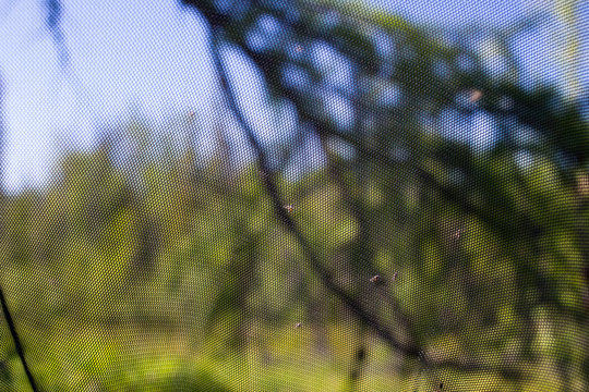 Mosquito net outdoor