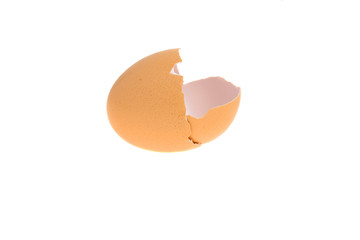 Egg shell on white background