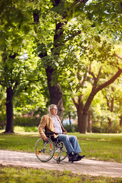 old man on wheelchair in the park.