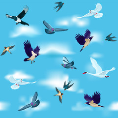 Obraz premium Birds are flying in the sky as seamless pattern / Pigeons, white doves, magpie, crows, swan and swallows are flying among clouds in the sky 