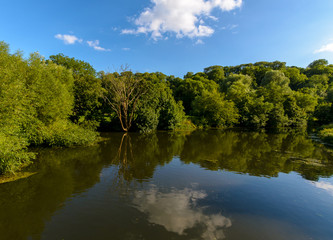 Fototapeta na wymiar Vegetation on the River Avon in Bradford-on-Avon