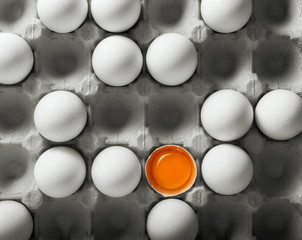 Chicken eggs in the package