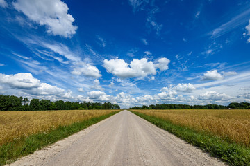 romantic gravel road in country under blue sky