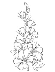 Vektorbündel mit Umriss Alcea rosea oder Hollyhock Blume, Stängel, Knospe und Blatt isoliert auf weißem Hintergrund. Blumenelemente im Konturstil mit verziertem Hollyhock für Sommerdesign und Malbuch. © bokasana