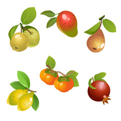 Fruits vector set / There are apples, mango, pear, lemon, persimmon and pomegranate on white background