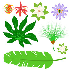 Tropical leaves summer jungle green palm leaf exotic design hawaii monstera botanical flora vector illustration