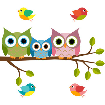 Vector set of a colorful owls and birds