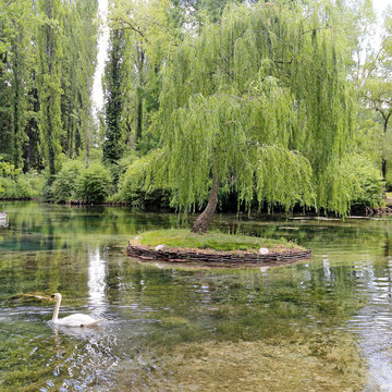 Little isle with willow on the Fonti del Clitunno lake in Umbria.