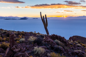 Fototapeta na wymiar Sunset cactus Salar De Uyuni islands mountains scenic landscape.