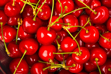 large ripe red cherries