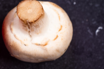 mushrooms - champignons on black background