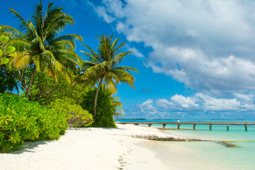 Obraz na płótnie Canvas Beautiful sandy beach with sunbeds and umbrellas in Indian ocean, Maldives island