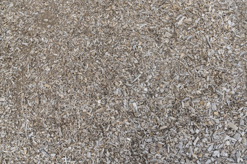 Wood shavings texture