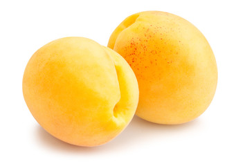 apricot