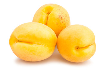 apricot