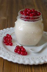 Panna cotta with honey and red currant