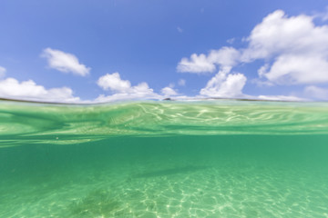 Under water caribbean sea, ocean from St Martin, St Maarten