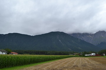 Berglandschaft in Tirol mit Feldern