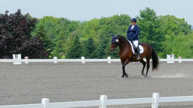 Skilled rider on magnificent steed in dressage exhibition.
