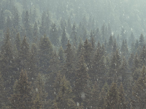 Summer hailstorm