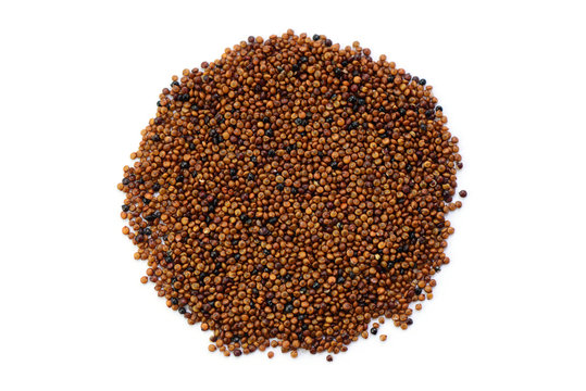 Canihua