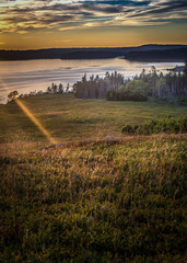 Blueberry Fields forever