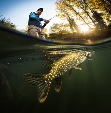 Fishing. Fisherman and pike, underwater view