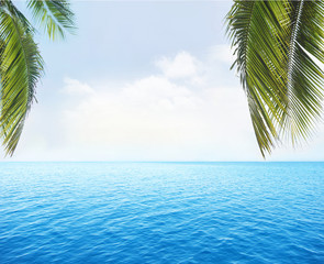 Naklejka na ściany i meble tropical palm water ocean horizon view