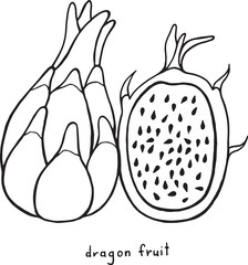 Dragon fruit coloring page. Graphic vector black and white art for coloring books for adults. Tropical and exotic fruit line illustration.