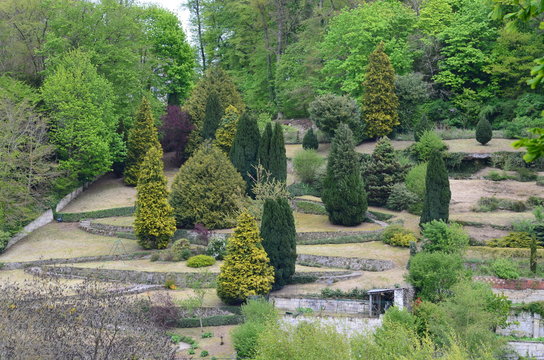 jardin 