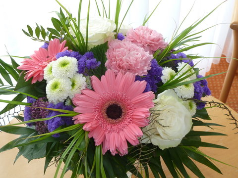 Blumen - Powered by Adobe