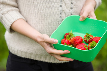 Closeup of woman's hands holding bowl with organic garden summer strawberry berries. Healthy lifestyle and healthy eating. Vegetarian snack.Fruit and berries.