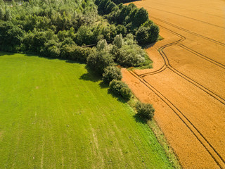 Getreidefeld Luftperspektive