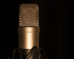 Vocal Microphone