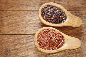 Seeds of red and black quinoa - Chenopodium quinoa