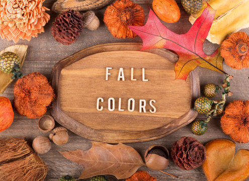 Plaque With Fall Colors Text Surrounded With Colorful Autumn Decor