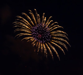 Fireworks explode in colorful display Seaside Oregon