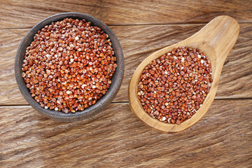 Seeds of red quinoa - Chenopodium quinoa