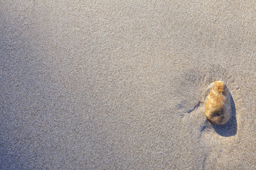 Sand texture.