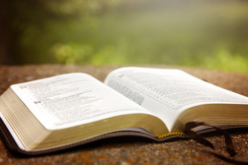 An Opened Bible on a Table in a Green Garden