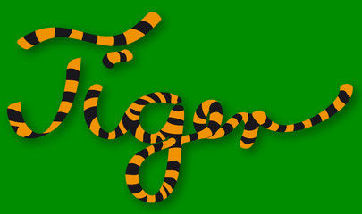 Tiger's Tail – Schriftzug Tiger