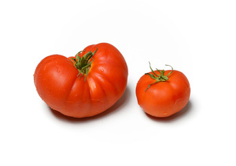 Two red tomatoes on white background