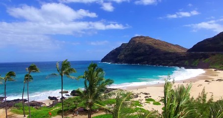 Blue Water Ocean in Sandy Cove with Beachgoers and Palm Trees Moving in the Wind Surrounded by Hills