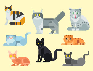 Cats vector illustration cute animal funny decorative kitty characters feline domestic kitten trendy pet drawn