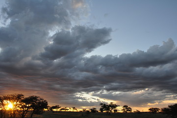 The Namibian Sky.